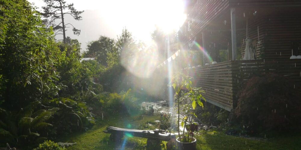 Außenbereich Garten mit Sonne